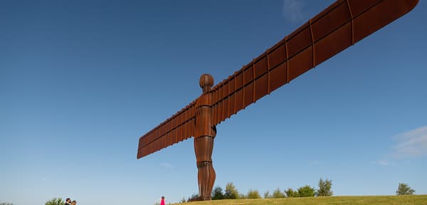 51496731929 b9da4bcd10 c