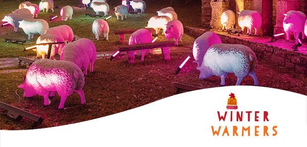 Winter Warmers Event Sheep