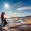 63236 Seaburn Beach with dog walker David Allan 1 Sunderland20 Council
