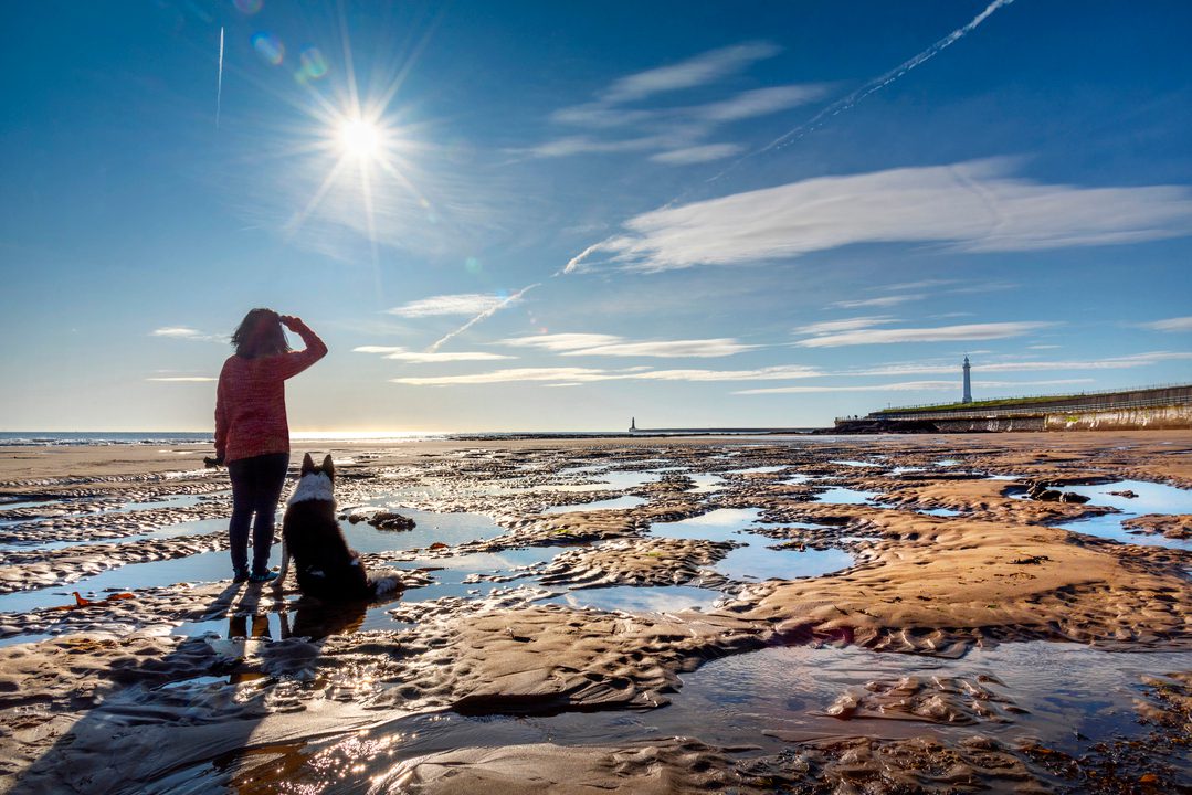 63236 Seaburn Beach with dog walker David Allan 1 Sunderland20 Council