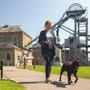 Woodhorn IMGA1199 min