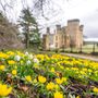 Ext 1756396198 964028 michelle brown english heritage org uk Belsay EH74284