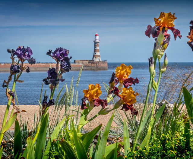 63232 Marine Walk Roker David Allan Sunderland20 City20 Council