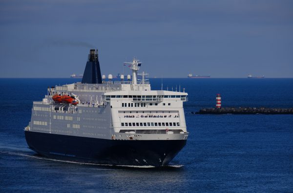 Adobe Stock 499558951